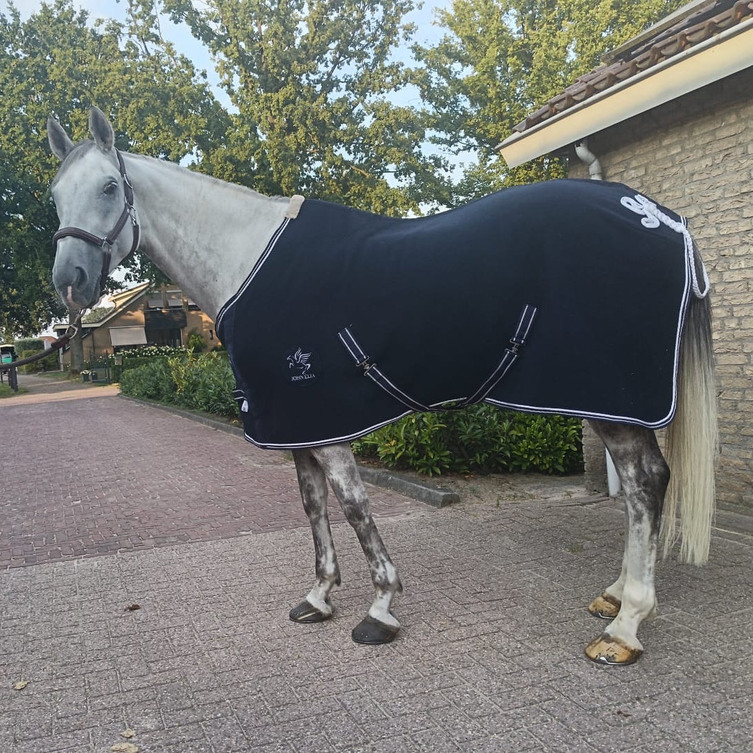 Horse wearing a black rug standing on a paved area with trees and a building in the background.